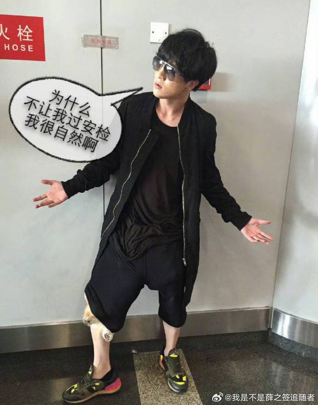 薛手桐鑫 你好薛之谦，这边来咨询下薛让的事 