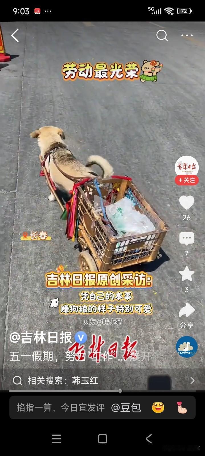 吉林长春，一名女子前往菜市场买菜，发现一只狗狗拉着小车陪主人一同买菜。
她觉得这