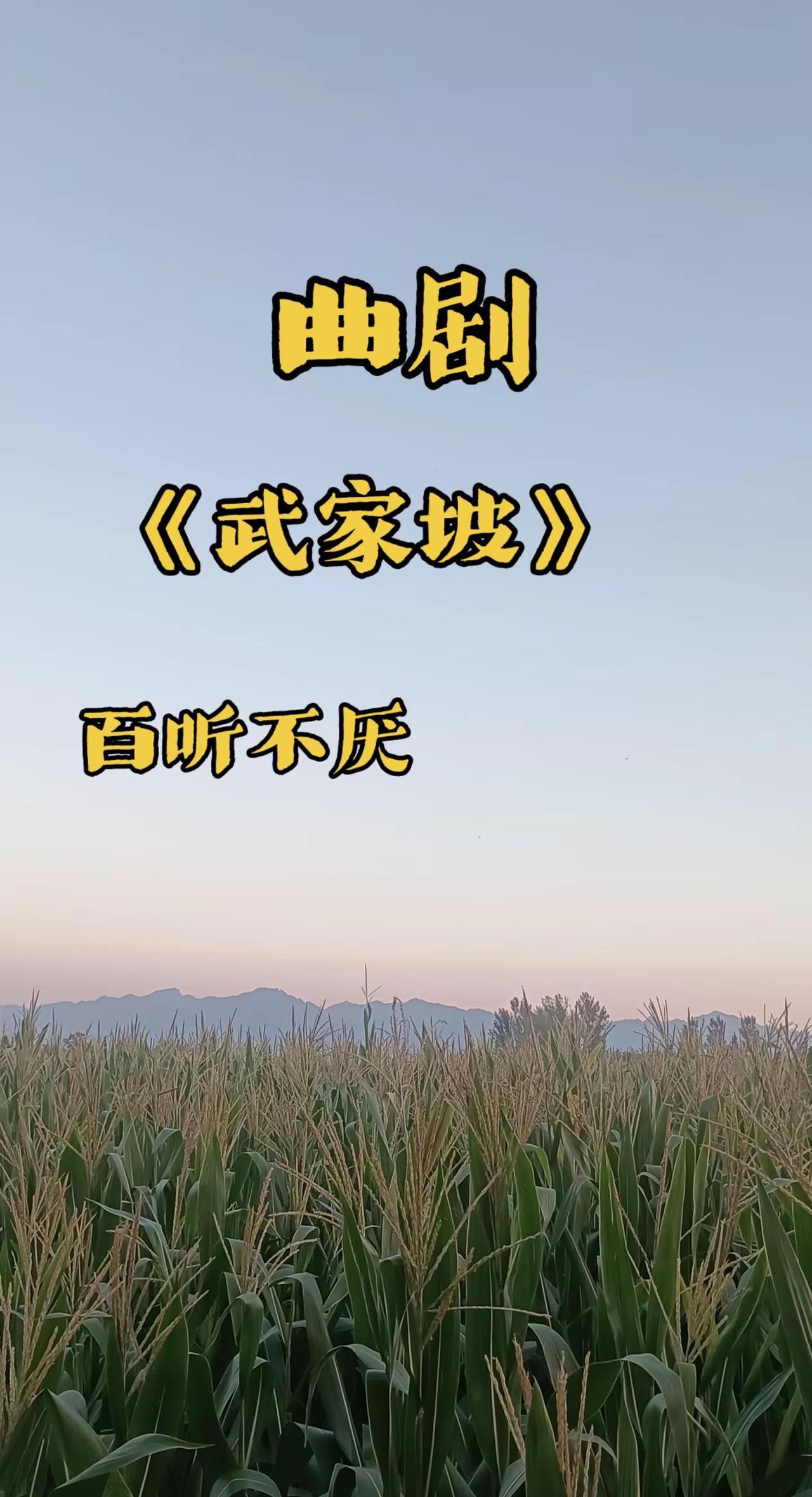 曲剧《武家坡》，百听不厌