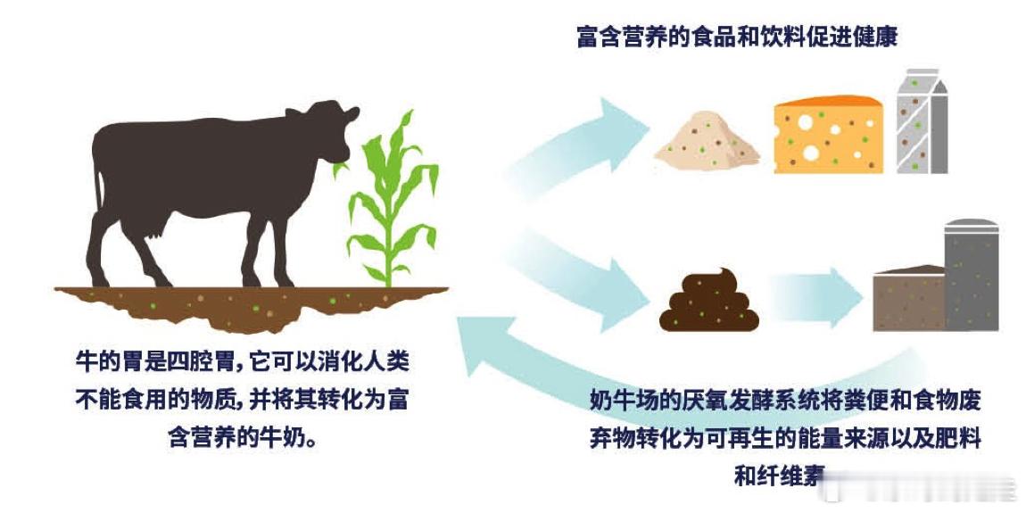 美国农业部(USDA) 致力于与合作伙伴和利益相关者合作，共同提高多样化农业和食