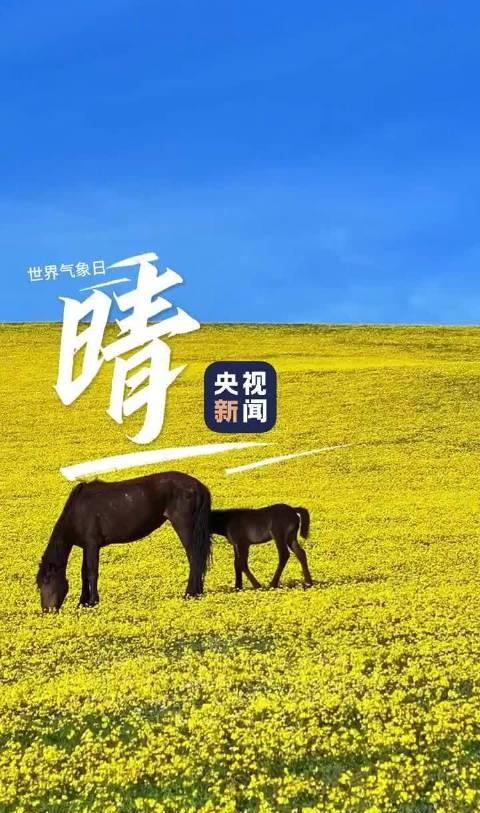 @肖战 @成毅 @UNIQ-王一博 @时代少年团队长-马嘉祺 @卡布叻_周深 @