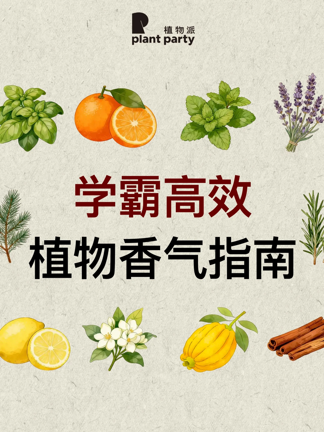 考前专注力up！✨10种考运💯植物使用指南