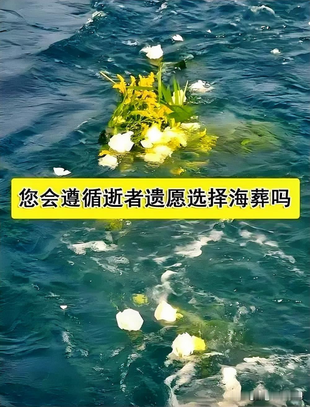 儿子完成母亲海葬遗愿后翻阅她海葬与QQ空间
完成母亲海葬遗愿后，儿子翻开尘封的Q