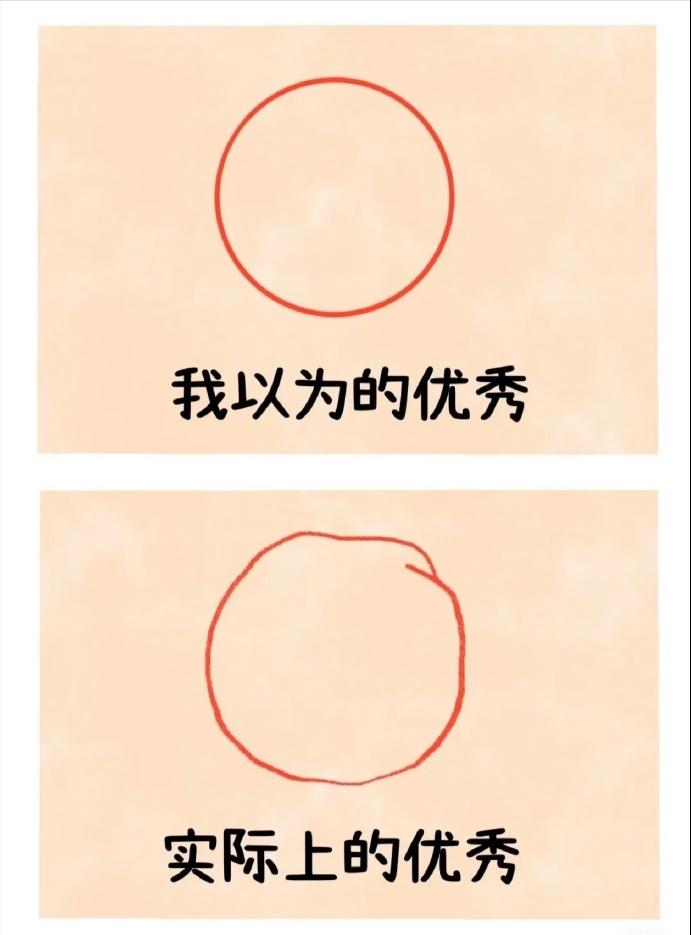 每天看一遍