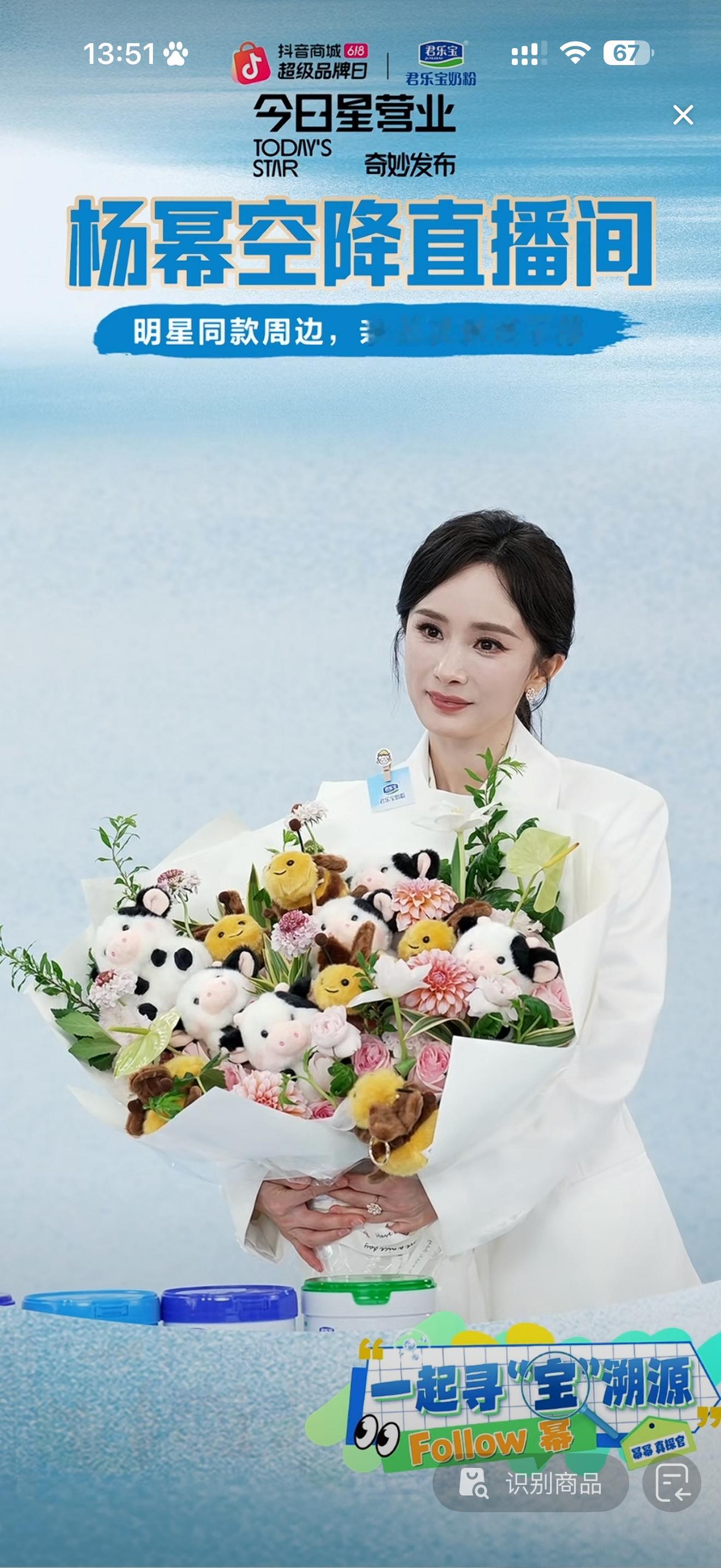 一束牛bee花 