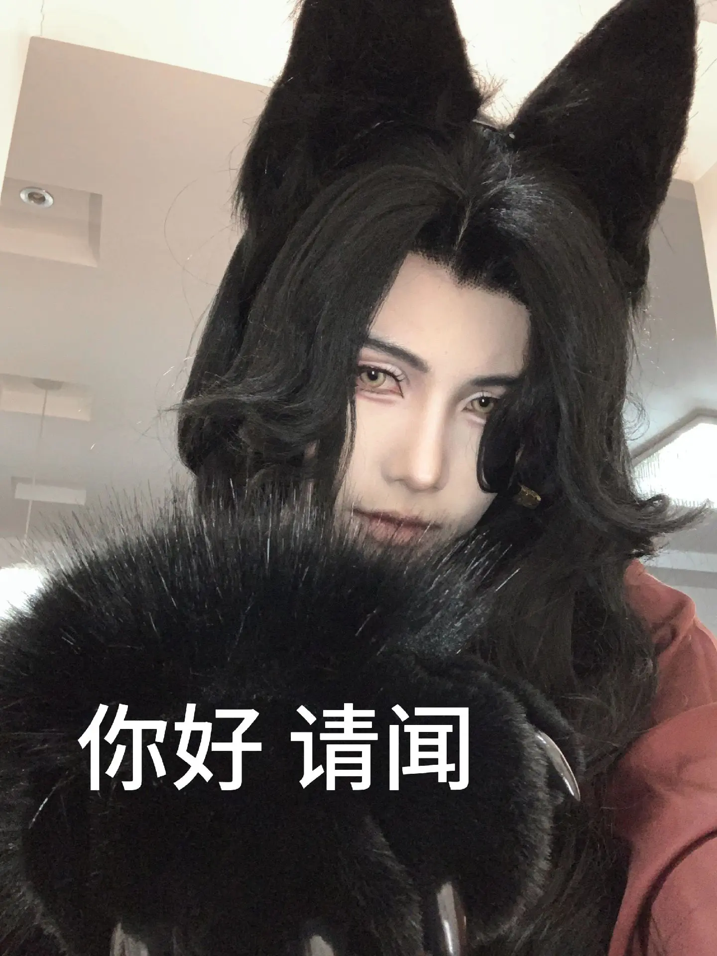 喵喵喵～