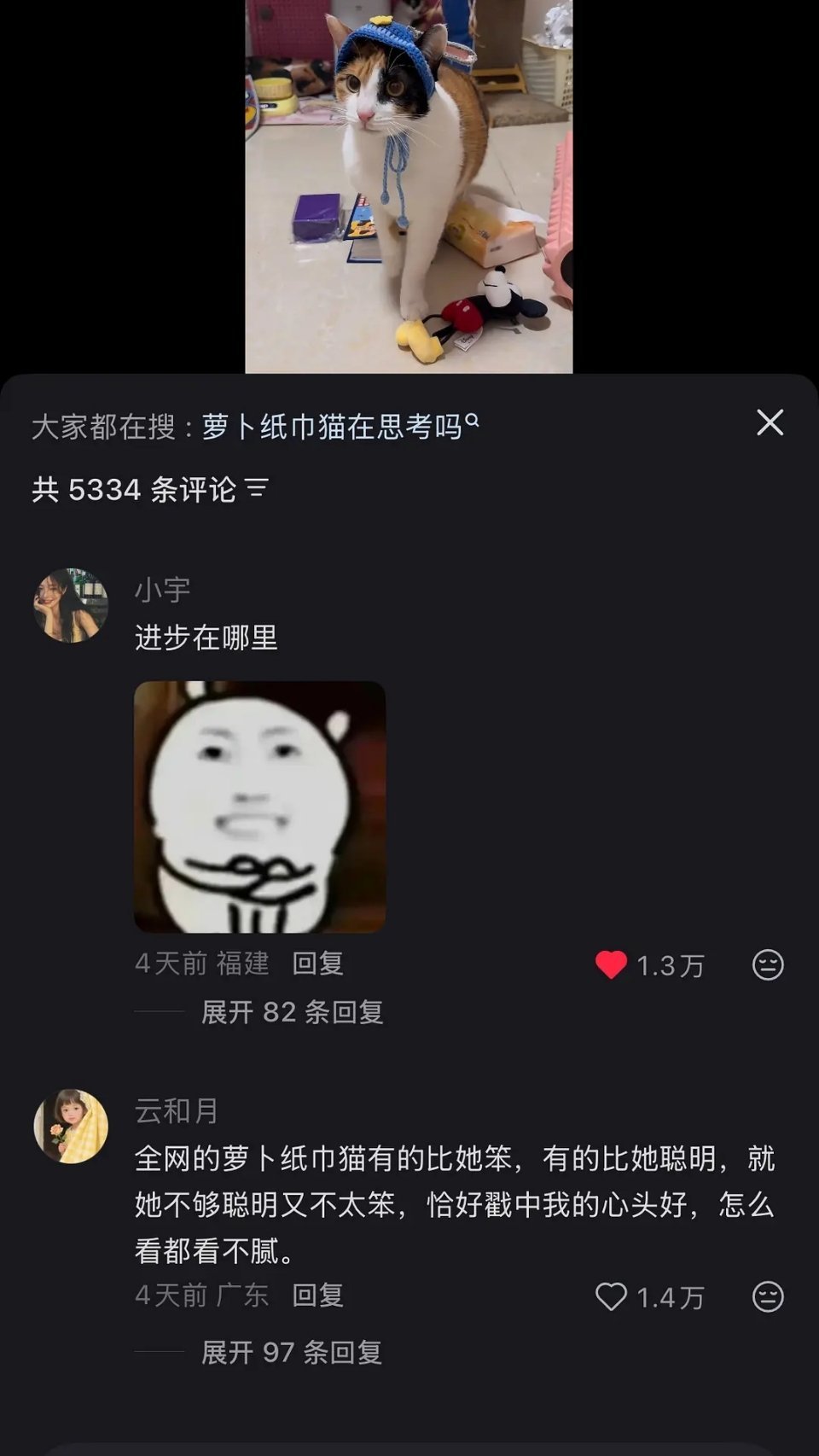 蒸蚌这个梗原来是来自这个胡萝卜纸巾猫哇这个小帽子神来之笔，一戴窝窝囊囊老实巴交的