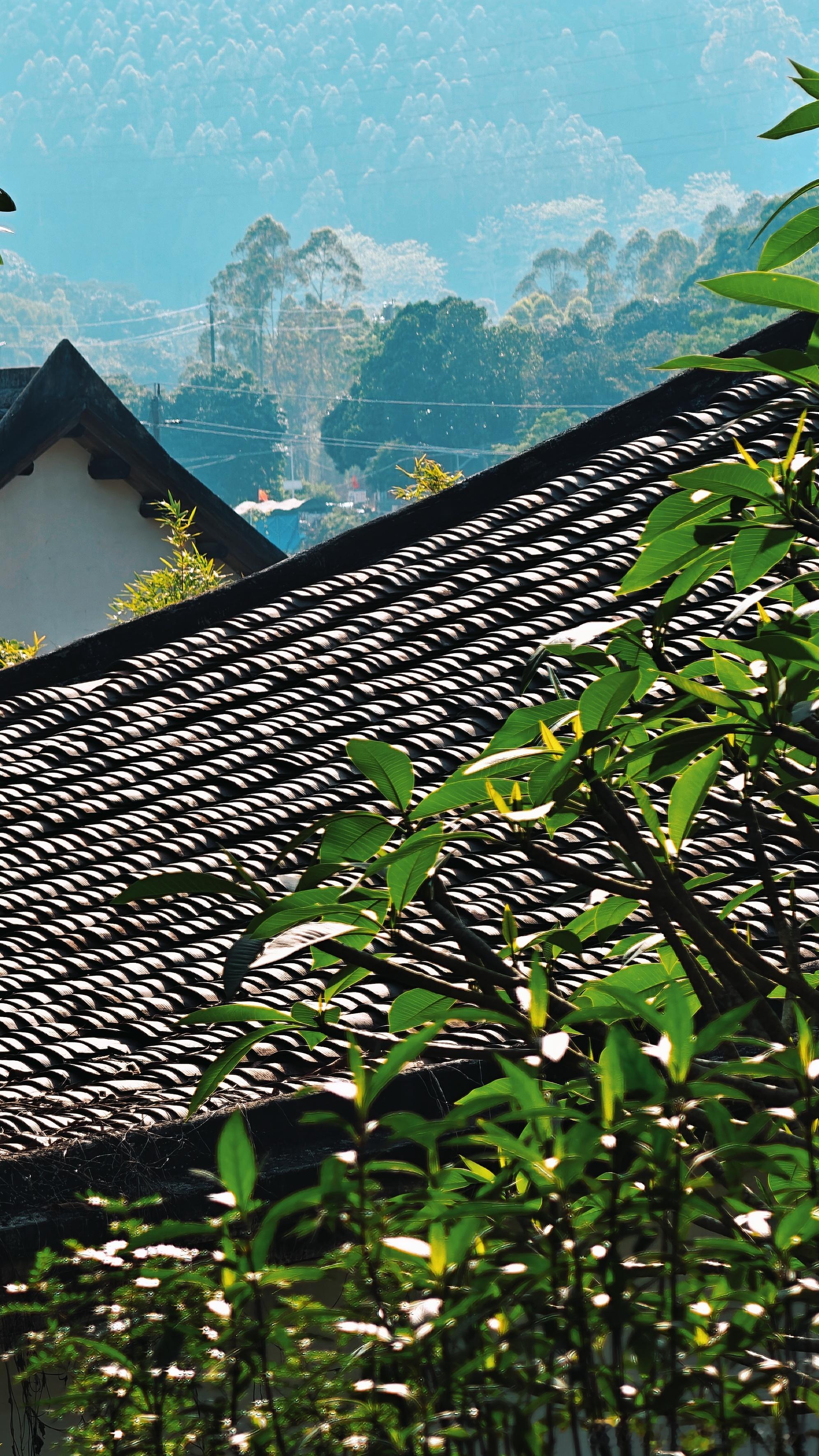 趁着周末阳光极好，打卡惠阳城区40km外的村庄，秋田谷里，非常有名，叶挺将军的故