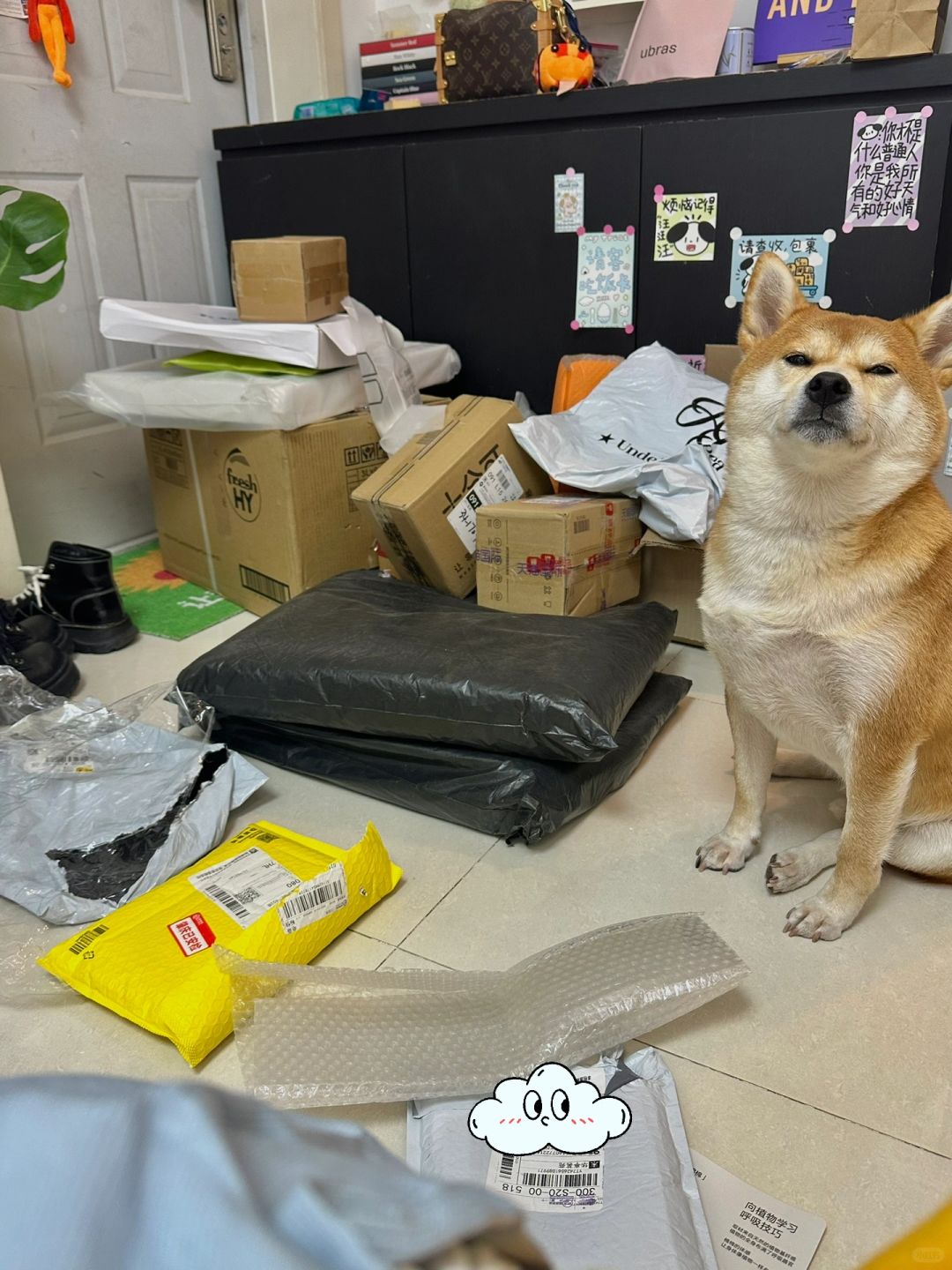妈 你的双十一还没结束吗