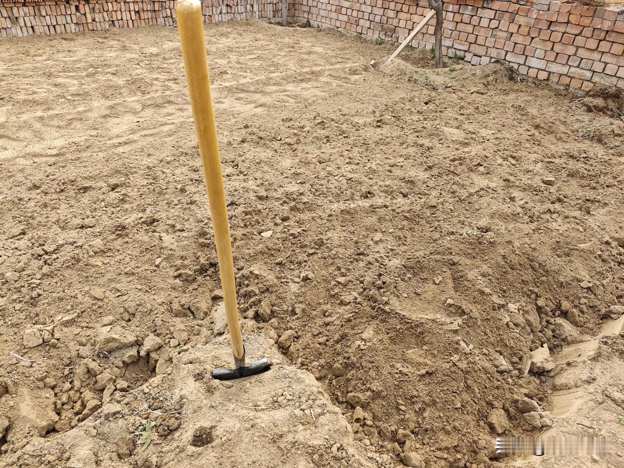 奔着吃菜自由，开园种菜啦！
今年不等五一了，打算早种几天，经历了前两天的霜冻，接