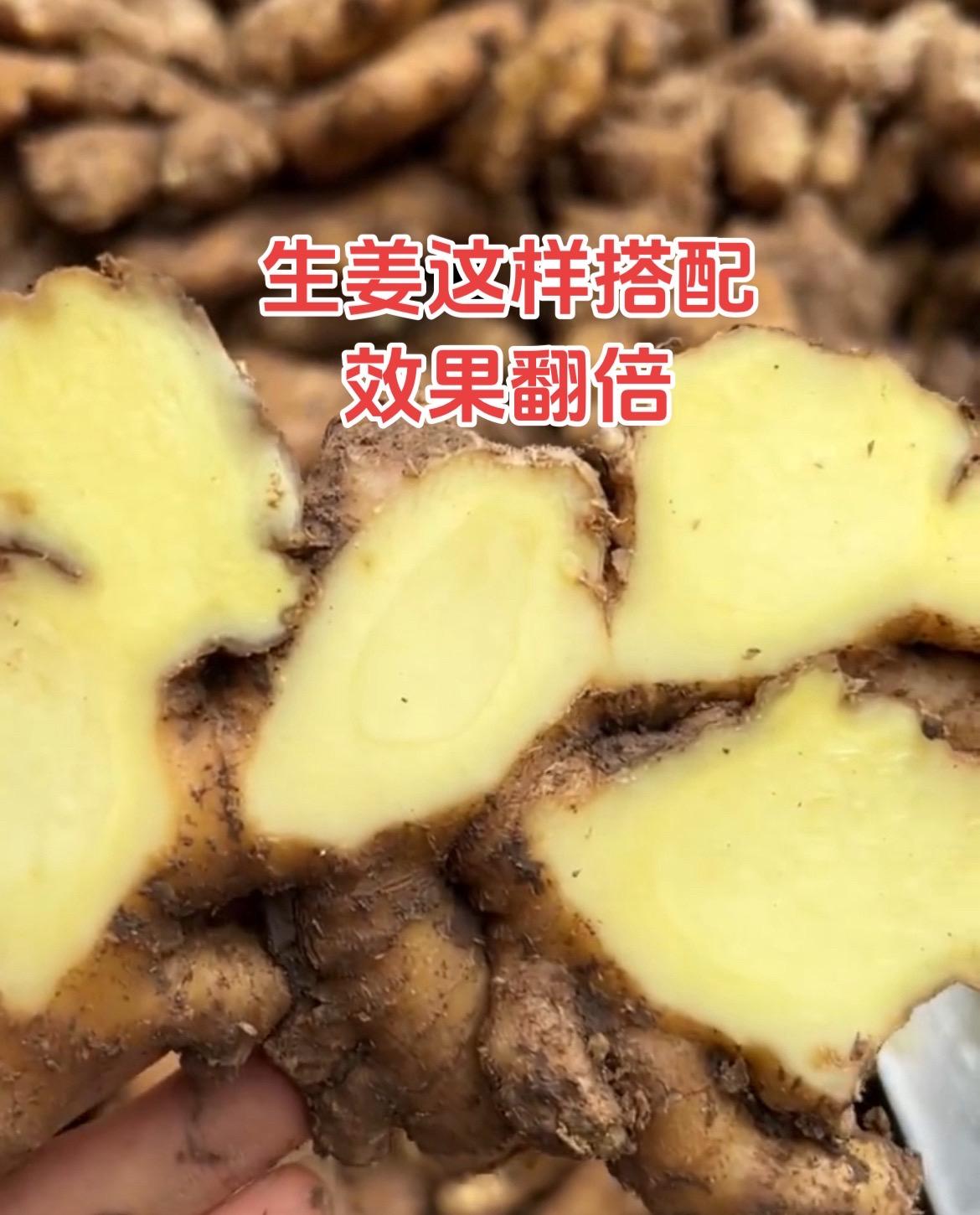 鸡鸭鹅养殖 生态散养土鸡 服务三农支持三农 科学养鸡 养鸡人