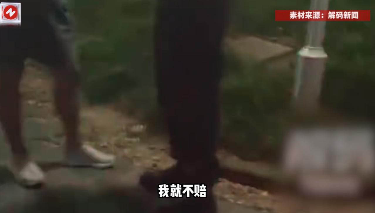 悲剧还是发生了！2025年4月，浙江杭州，一只泰迪犬被大型犬直接咬断了脖子，在医