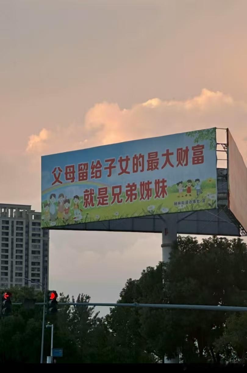 父母留给子女的最大财富，就是兄弟姐妹！要想生活好，早晚生三宝！ ​​​