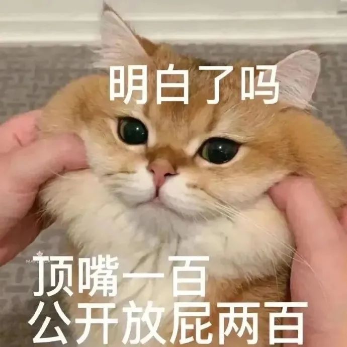 要不是喜欢你，谁想存这么多表情啊！ 更新不易，拿图点赞[心]更多表情包请看主页[