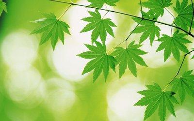 朋友昨天跟我说，她老公爱她忍不住的就是想亲她的隐私的一些部位，有点不好意思的，自