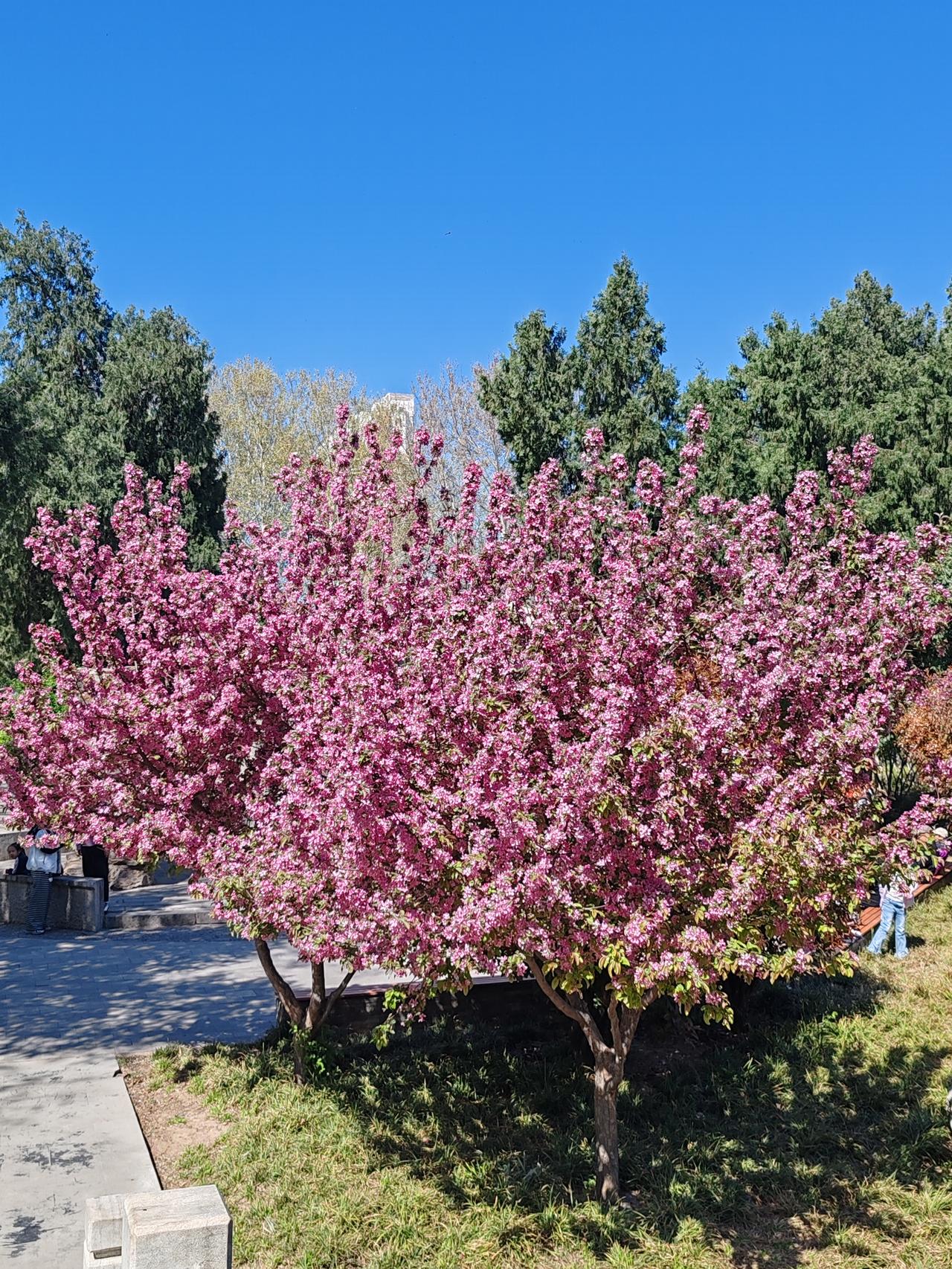 你是过来人，是在总结经验。可是你让没吃过猪肉的别吃猪肉了那不灵。只有他们吃过了才
