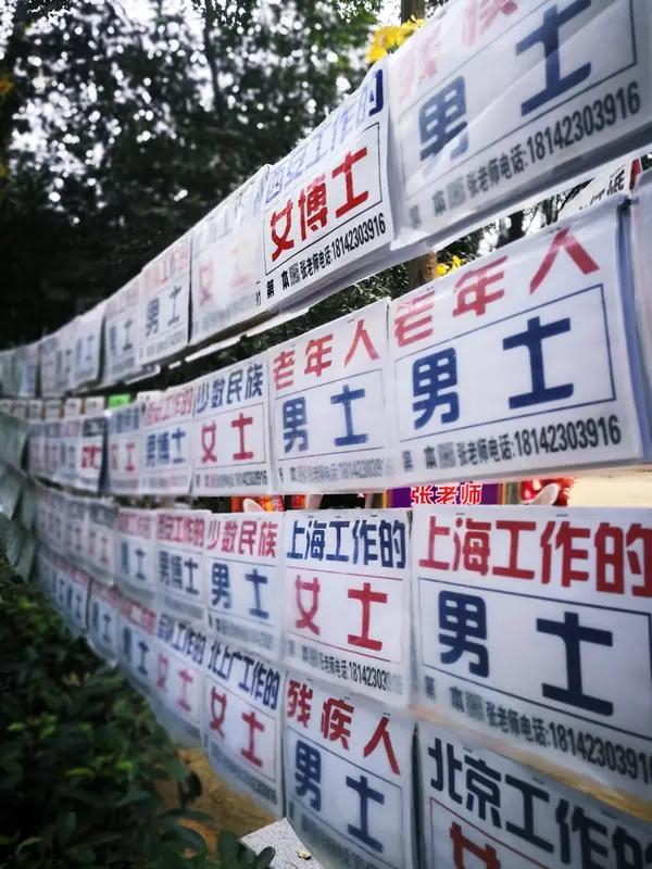 这年头，找个合适的伴儿着实不是易事。自古以来便有“知己难寻”的说法，能寻觅到良伴