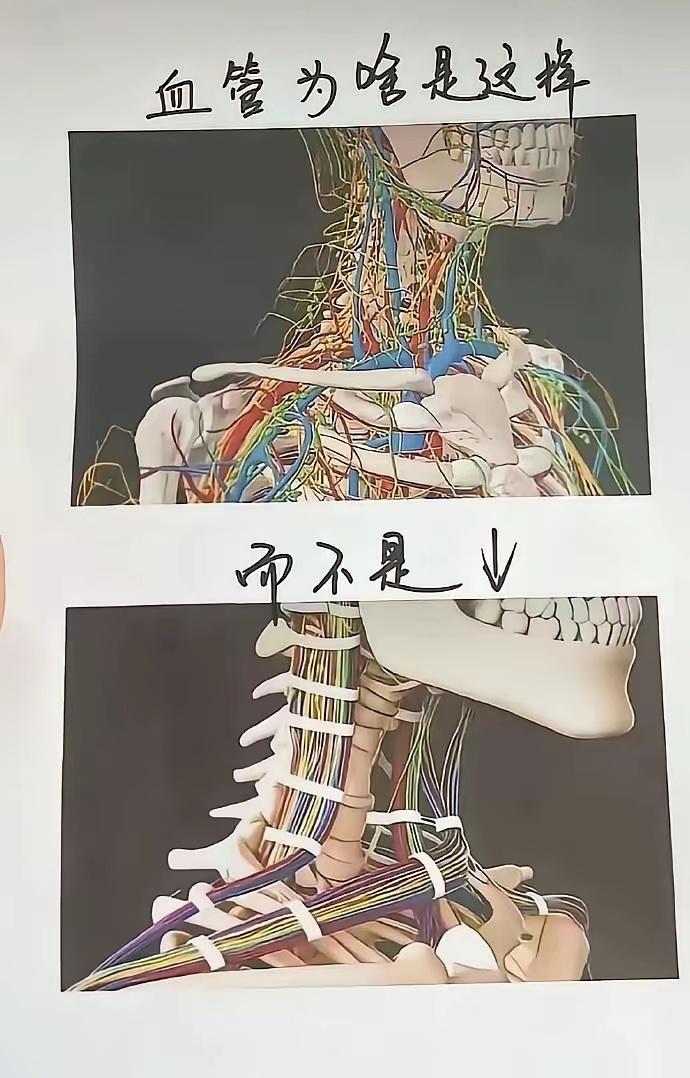 来自电工的疑问...