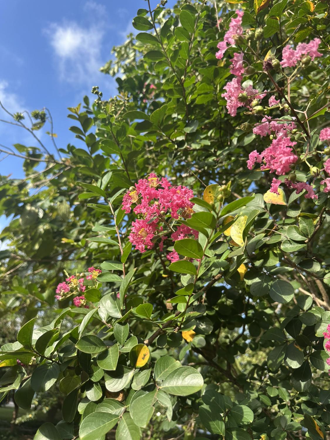 我的今日状态：😁轻松愉快
我这里的天气：☀️晴天