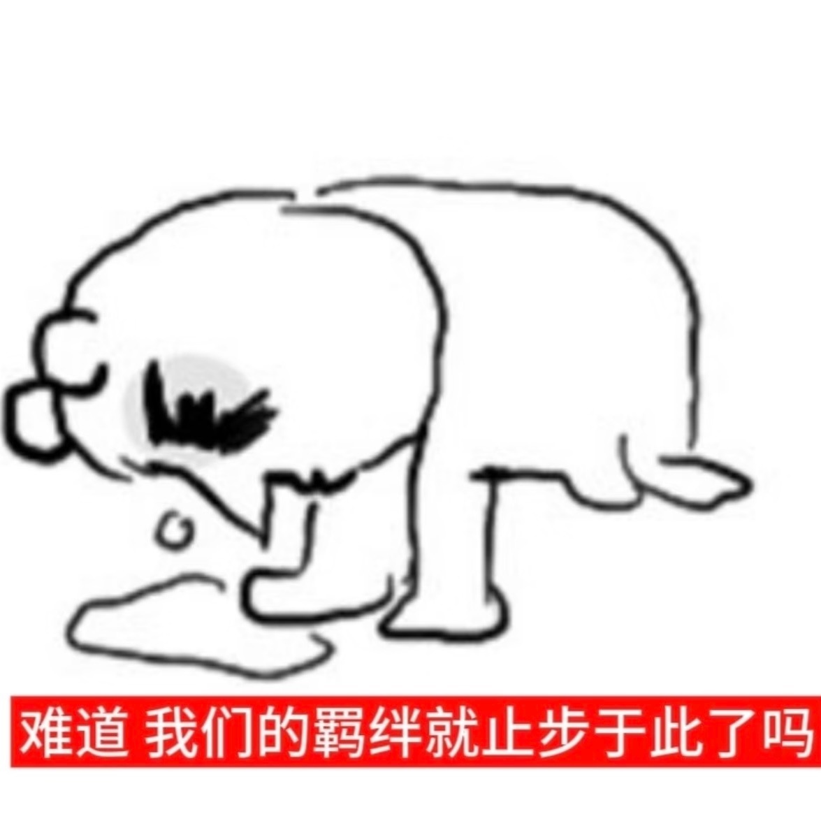 我这几天自己做饭吃什么的，太难吃了，我快把自己折磨成厌食症了，我现在胃是空的都不