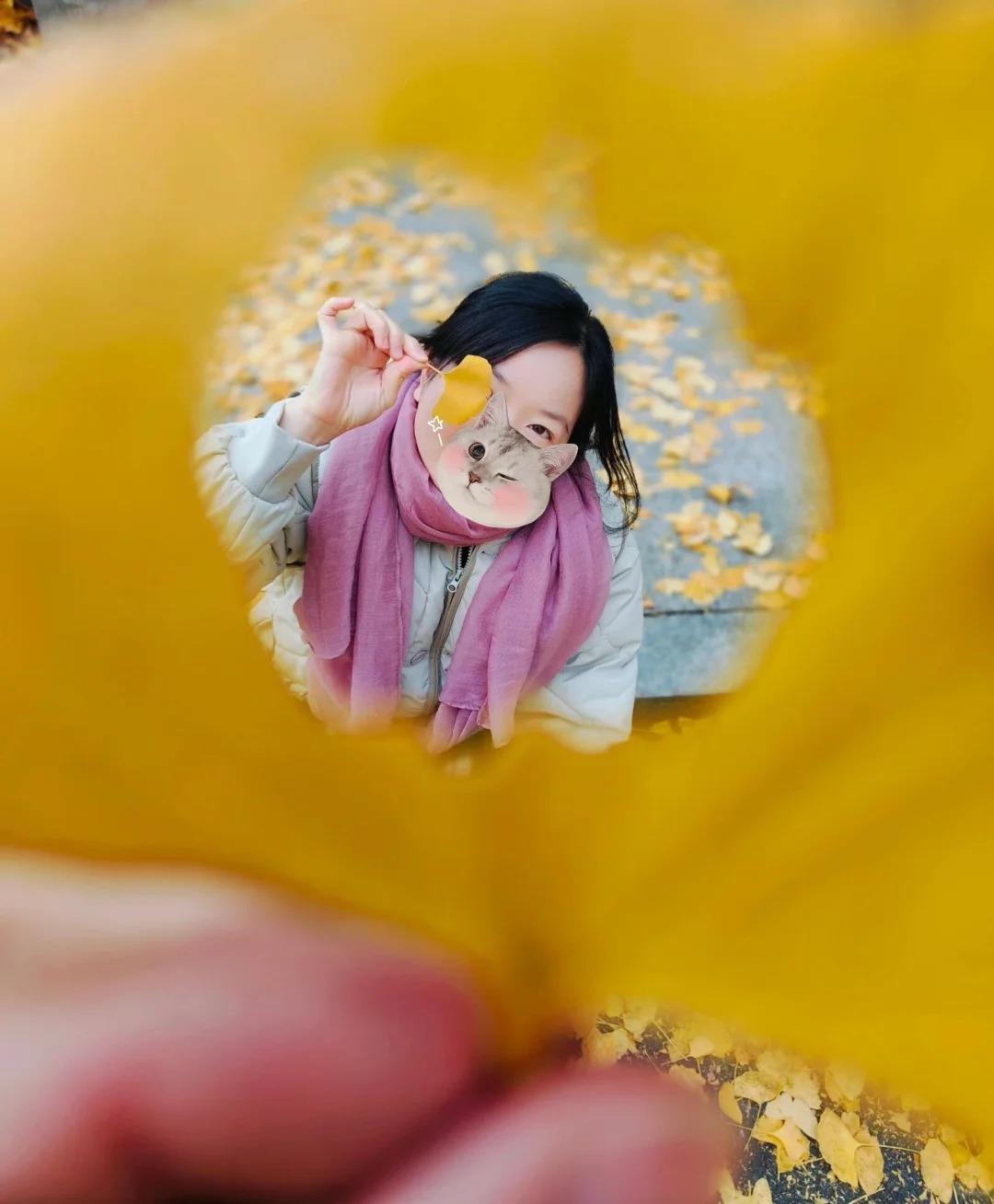 从秋的叶子，赏美景，还有可爱的你！