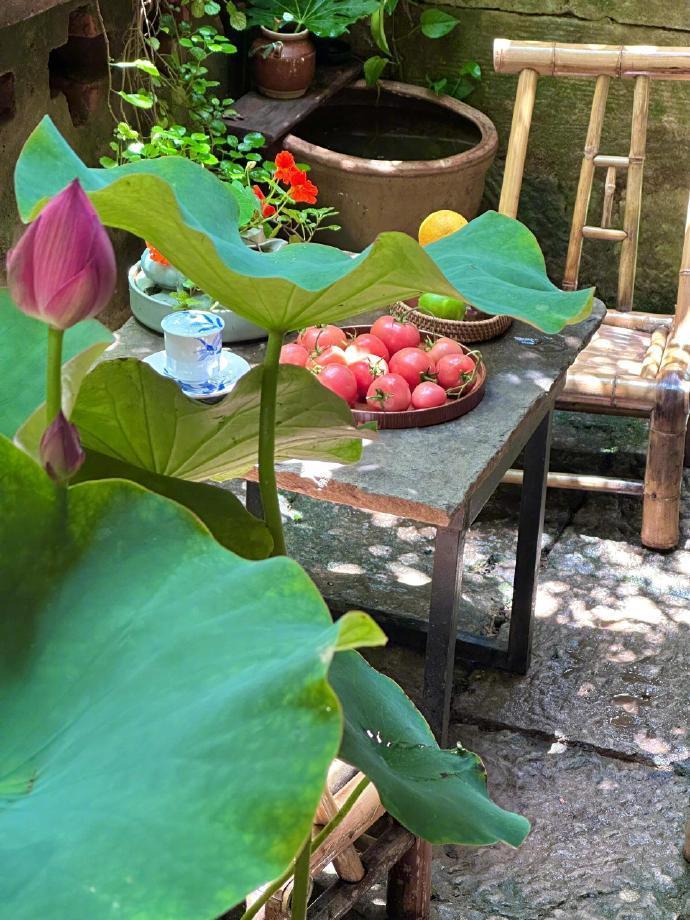 夏天都快过完了，好像什么都还没做。 ​ ​​​