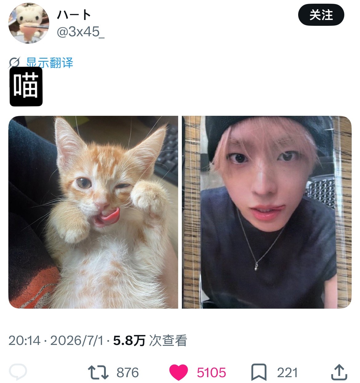 野猫家猫的区别 