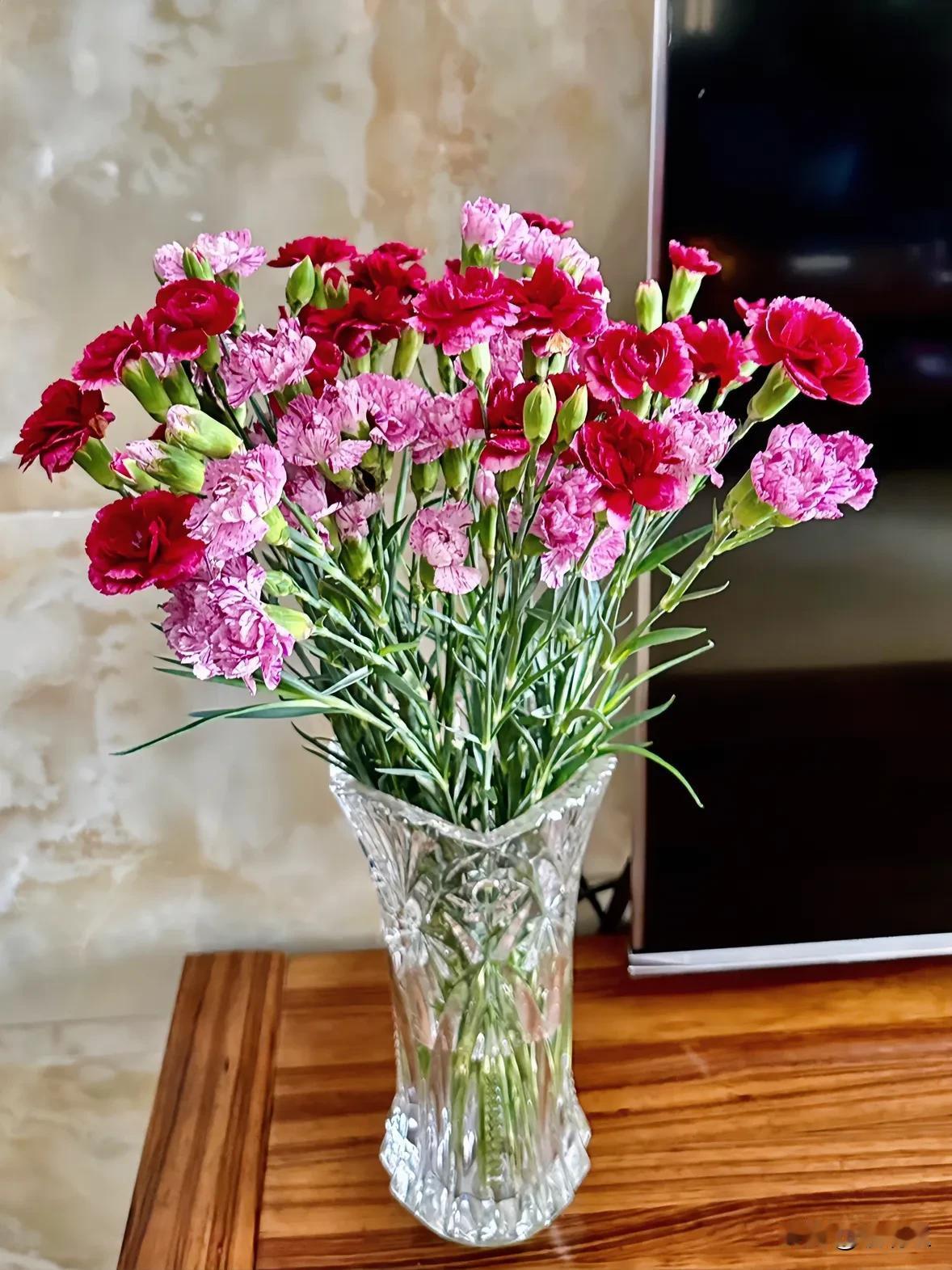 今天买了两束康乃馨。逛天虹的时候看到鲜花区的康乃馨很新鲜，并且颜色也很好看。于是