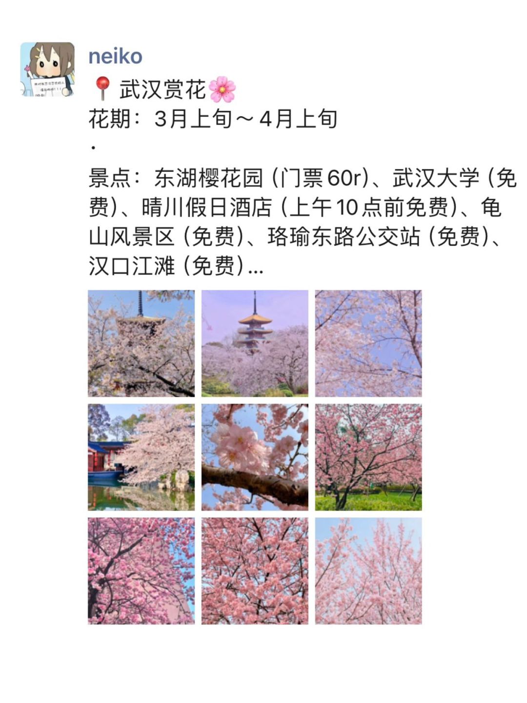 特种兵从武汉旅游回来以后后劲太大了