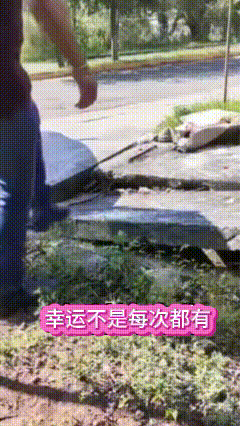平衡是有限度的！
明知山有虎，偏向虎山行，真虎！
挺大个人显摆啥？
不试不知道，