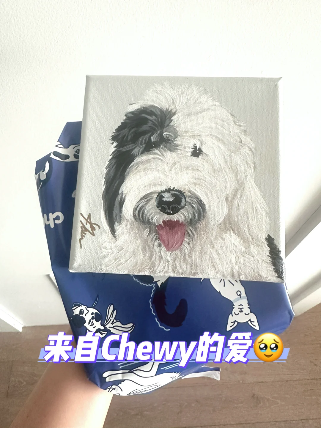 惊喜🎁 收到了来自Chewy的定制画像🥹