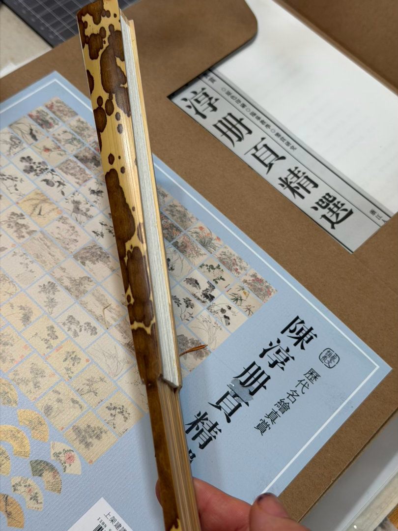 上午在工作室工作。前些时候发现一个湘妃竹洒金空扇，很是喜欢，让添爸画上画儿送我，