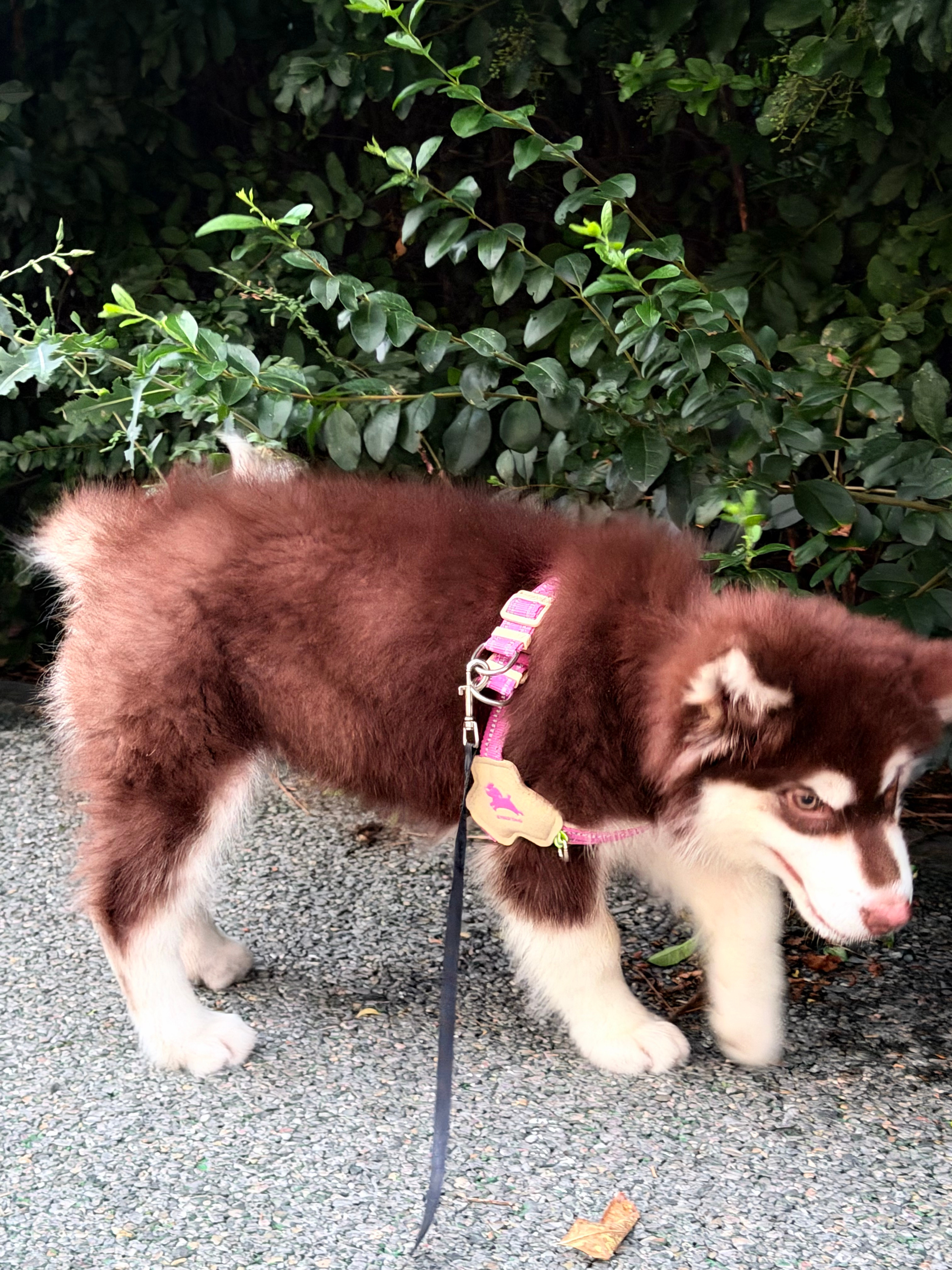 对这个世界充满了好奇😯…(⊙_⊙;)… 漯河·沙澧河风景区