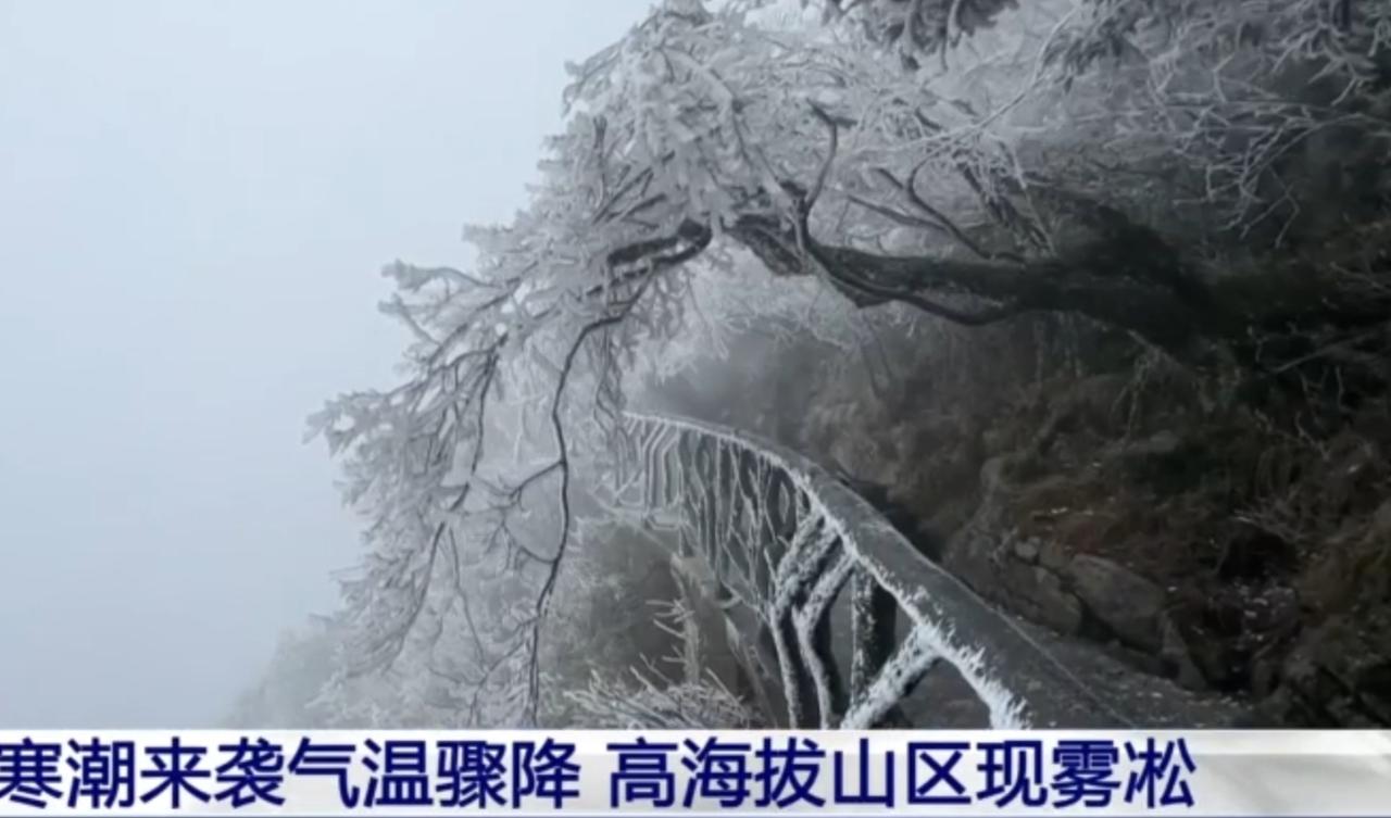寒潮来袭，多地气温骤降，高海拔山区出现绝美雾凇景观。树木枝条裹满冰晶，在薄雾中宛