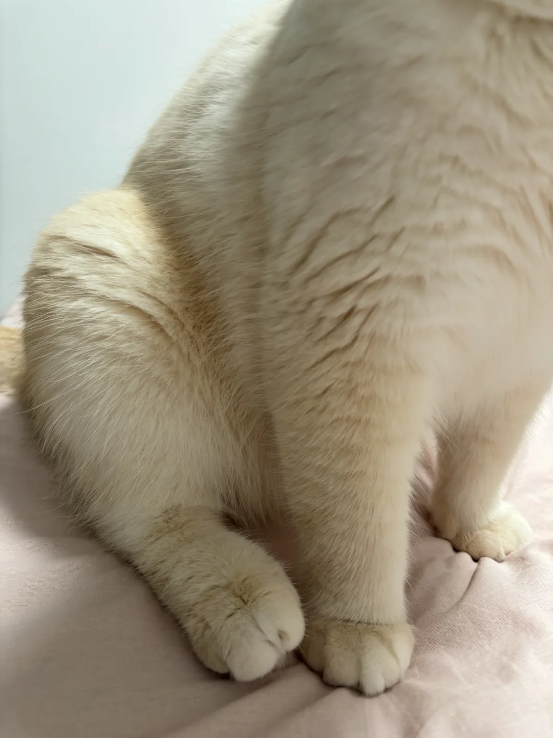 右滑查看面包车全貌