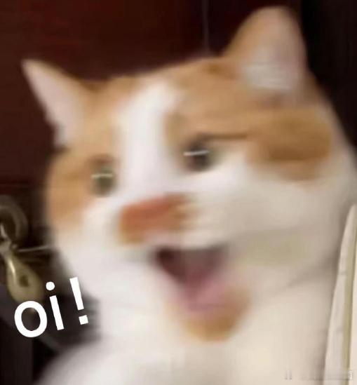 #今天追了什么剧# ​​​