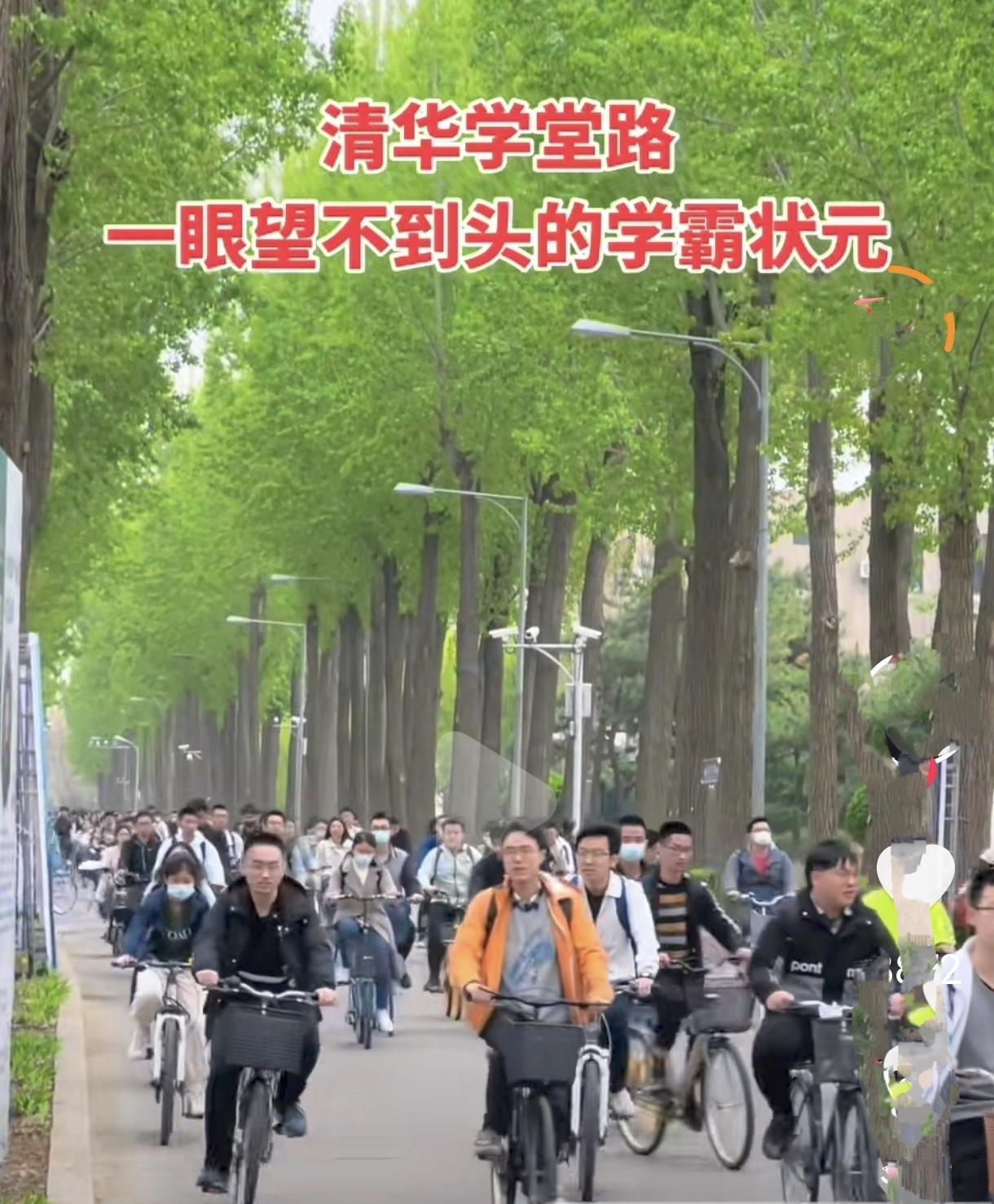 一所大学就是一座小镇的人口！吉大果然名不虚传，怪不得古人有云“吉大不是在长春，是