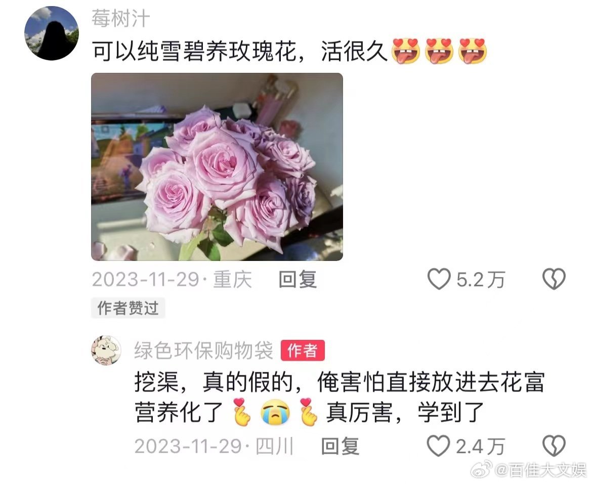 原来可以用糖水养鲜花 拒绝浪费从养花开始！家里常见的白糖，兑水后就是鲜花的“营养