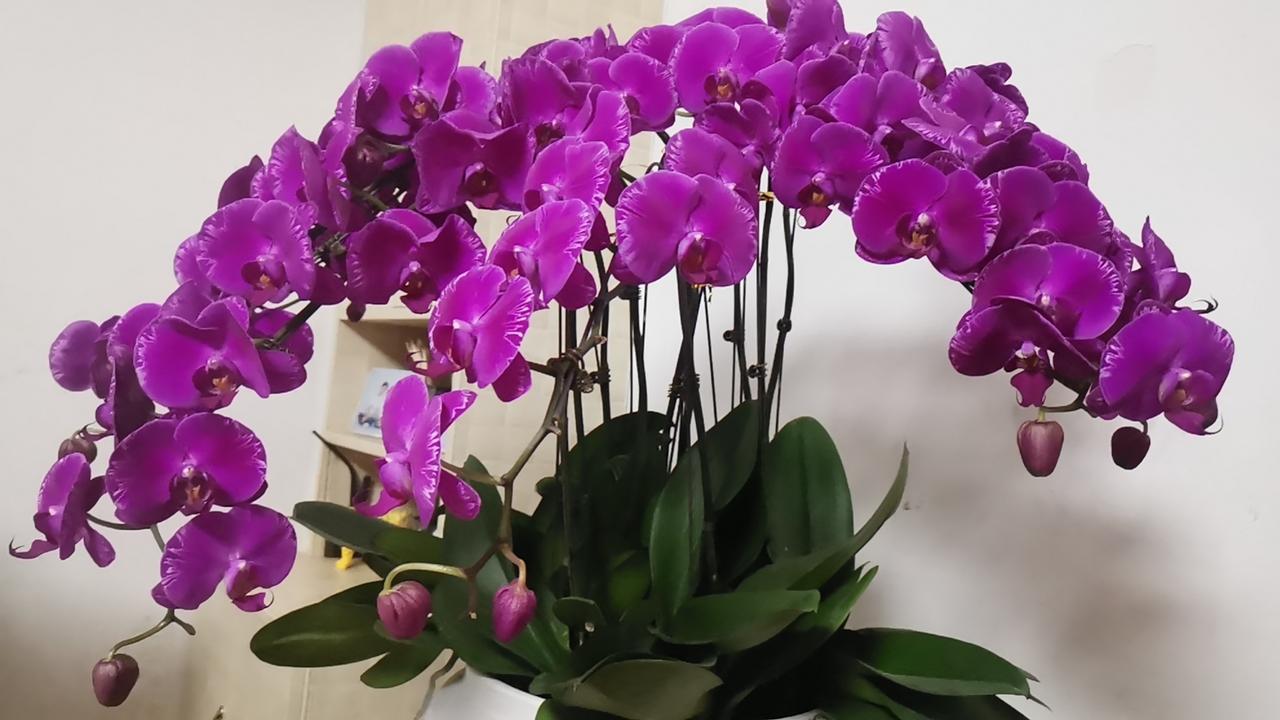 荀况（荀子）见赵孝成王，与楚国临武君论辨兵法，认为用兵重在民心归附，仁义用兵。什