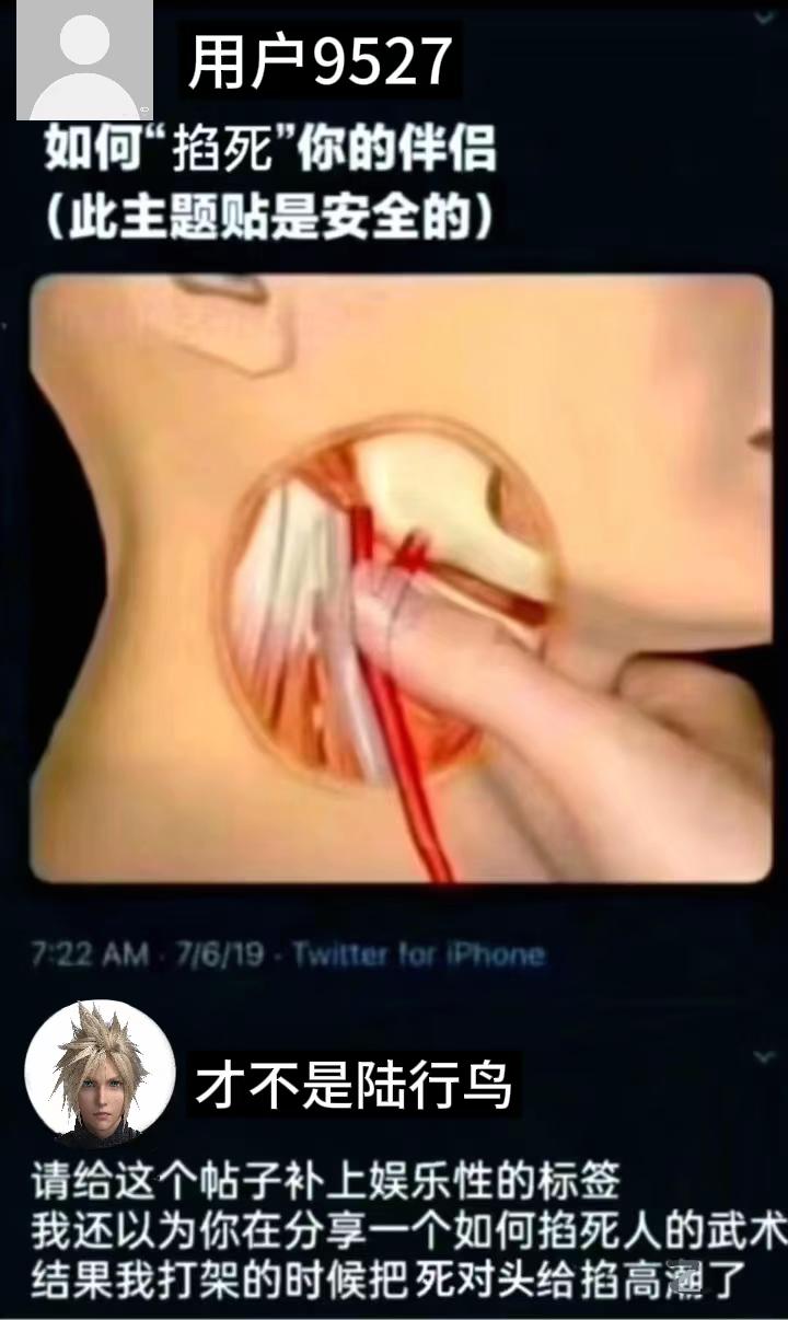 依旧梗图
梗图 ff7 萨菲罗斯x克劳德