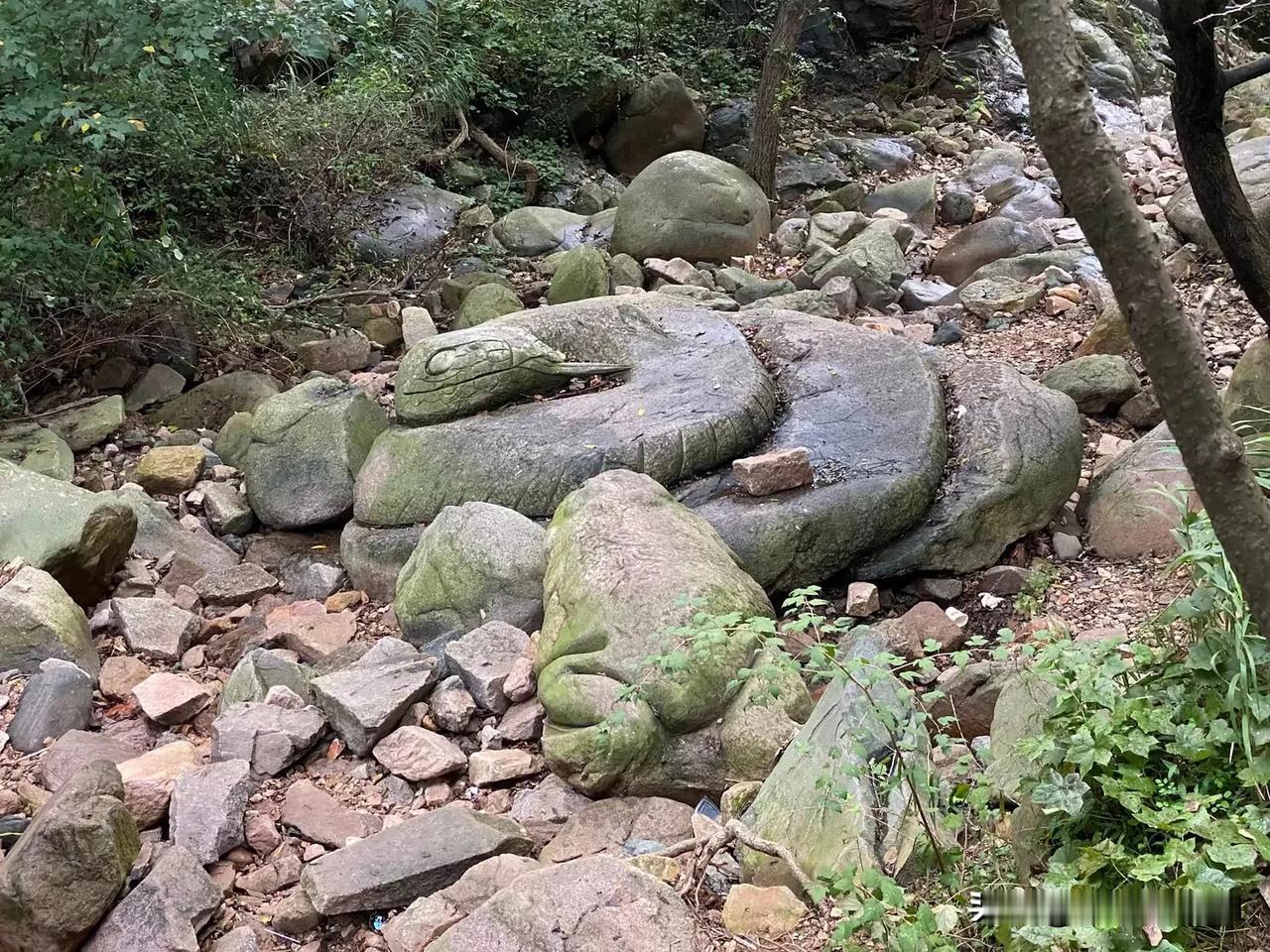 这个像啥？