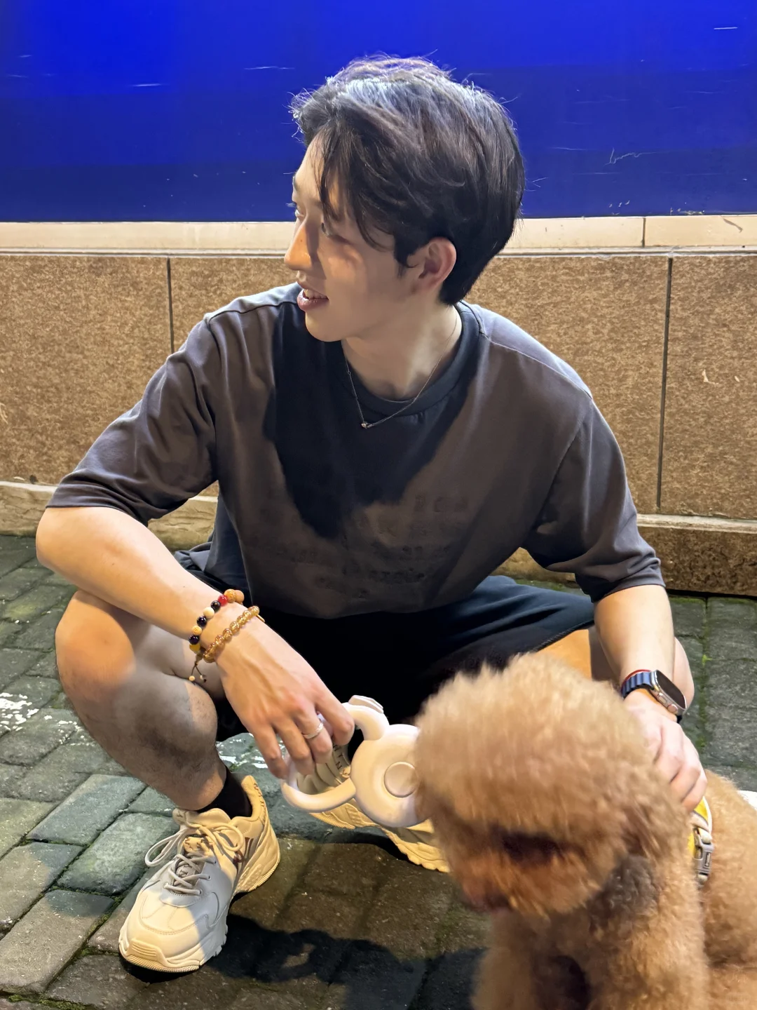 1️⃣起遛小狗