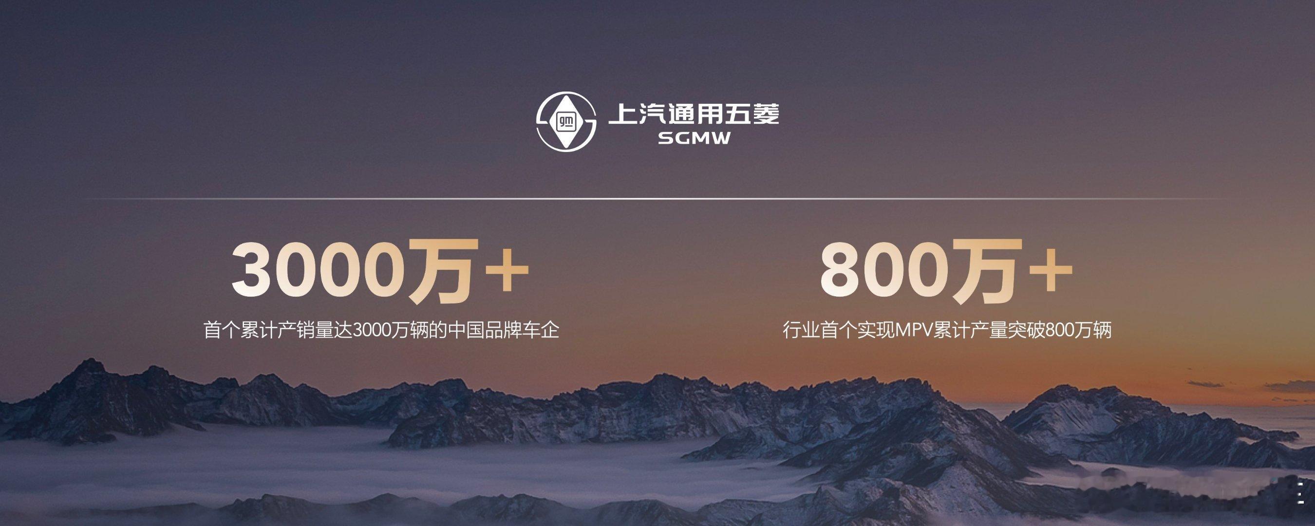 国民级神车 星光730 车长接近5米的 紧凑型MPV，平实的售价 燃油版 入门级