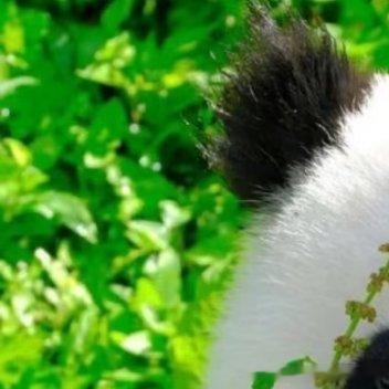 每日一善‎每日一善观山则情满于山，观海则情溢于海。读书使人心明眼亮。读书之法，在