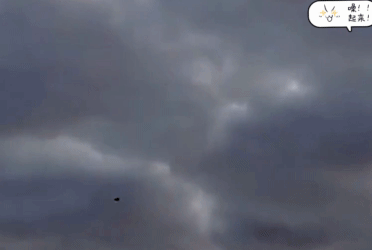 小摩托不多机联动生存率越来越低。一架黑色的小摩托到达基辅上空，被高射机枪高射炮不