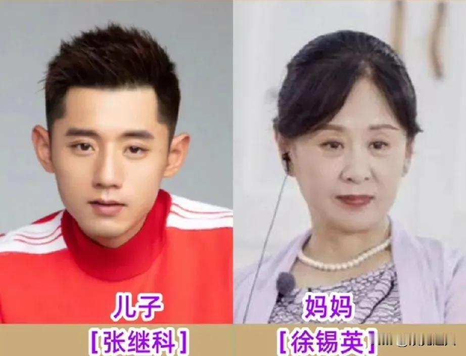 长得像妈妈的樊振东。
长得像妈妈的陈梦。
长得像妈妈的孙颖莎。
长得像妈妈的王楚