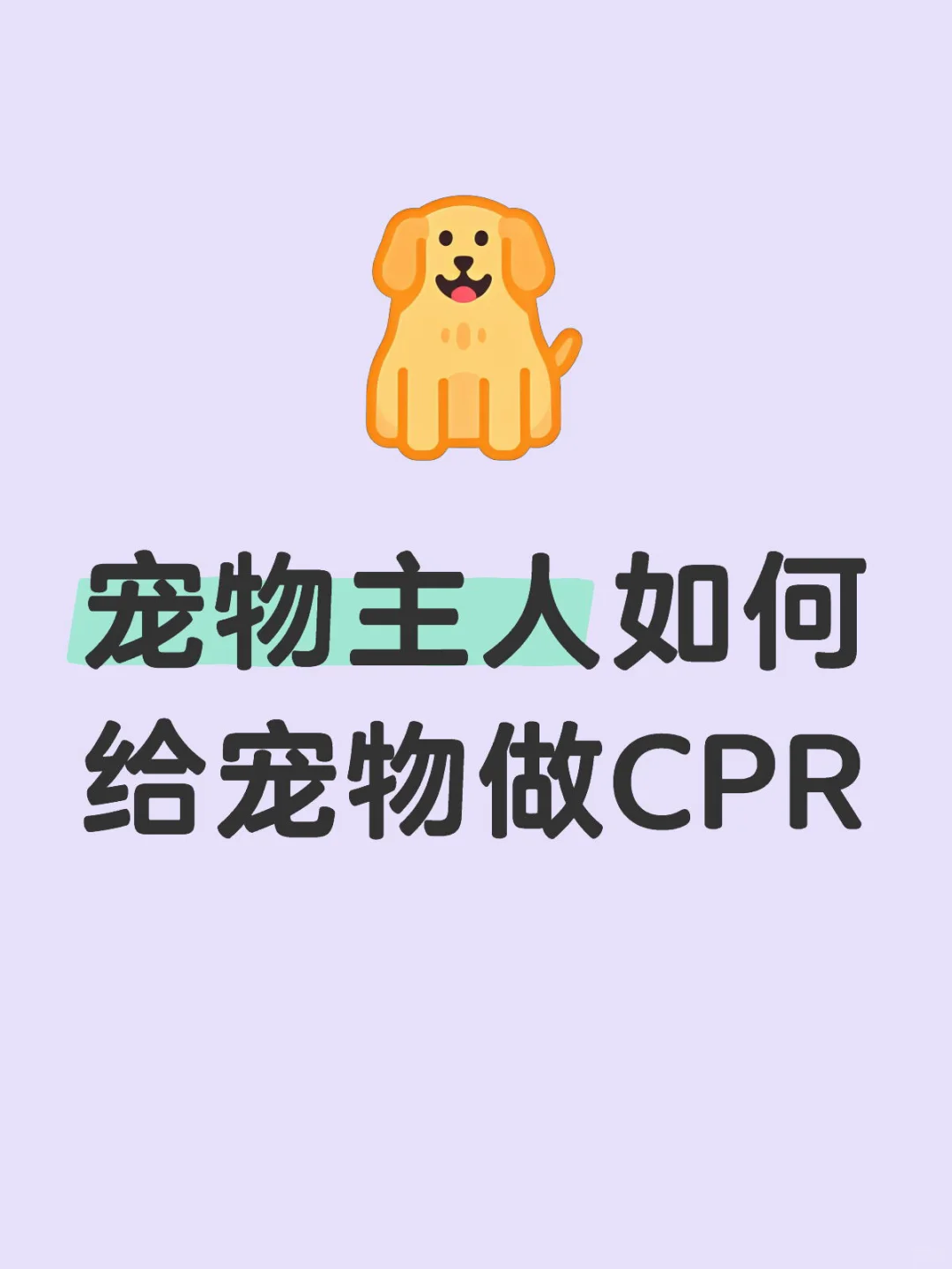 宠物主人如何给宠物做CPR之行动篇