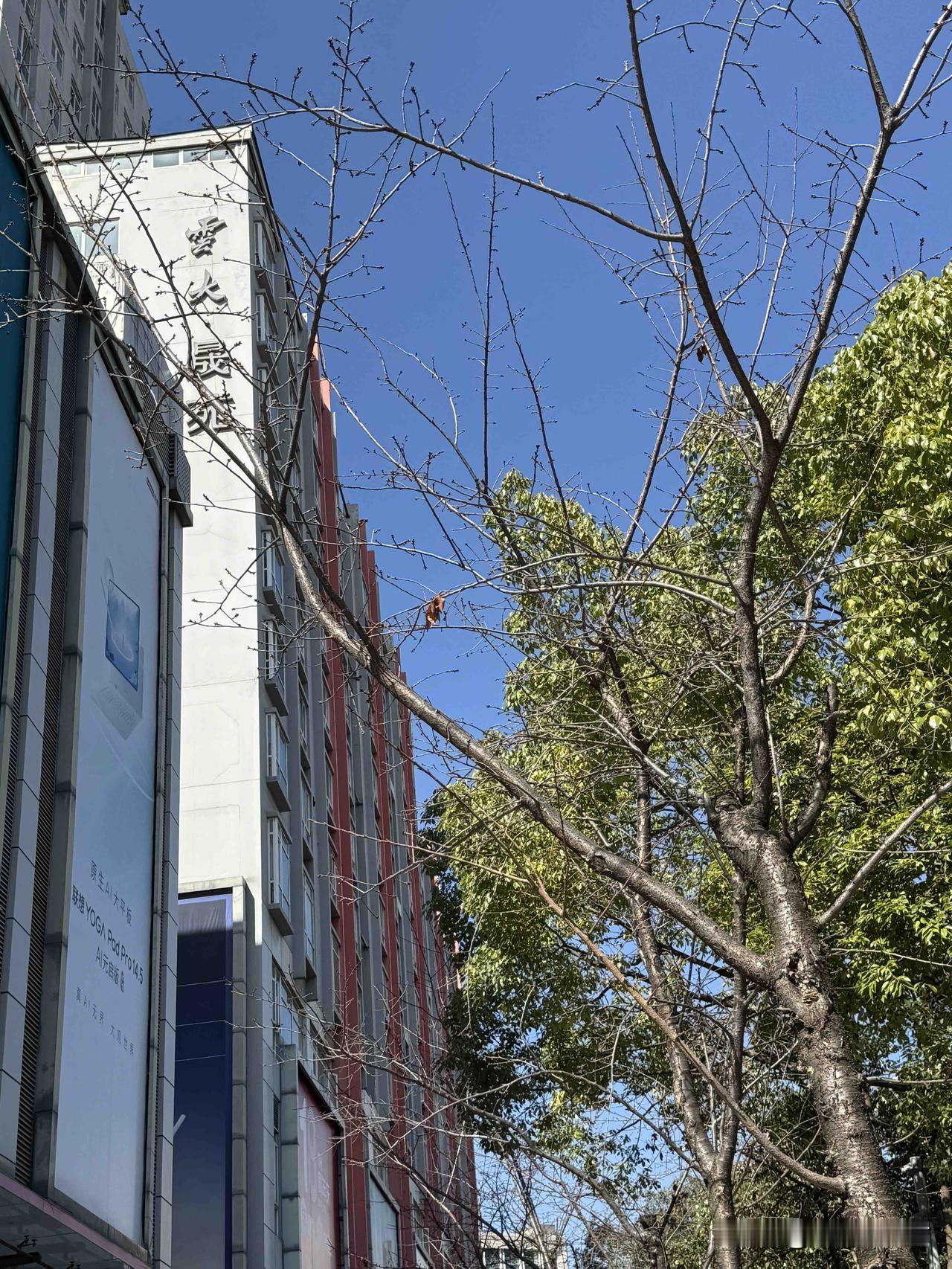 人这一生改变命运其实就有三次，第一次是原生家庭，它是你的起点，但绝不是你的终点，