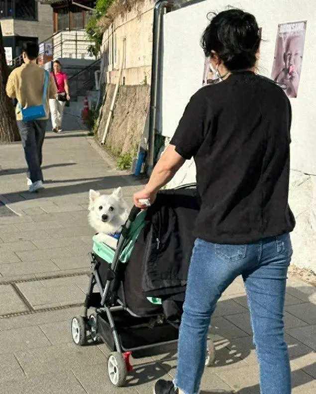 韩国人口问题真是让人瞠目结舌。2023 年新生儿人数同比减少 7.7%，总和生育