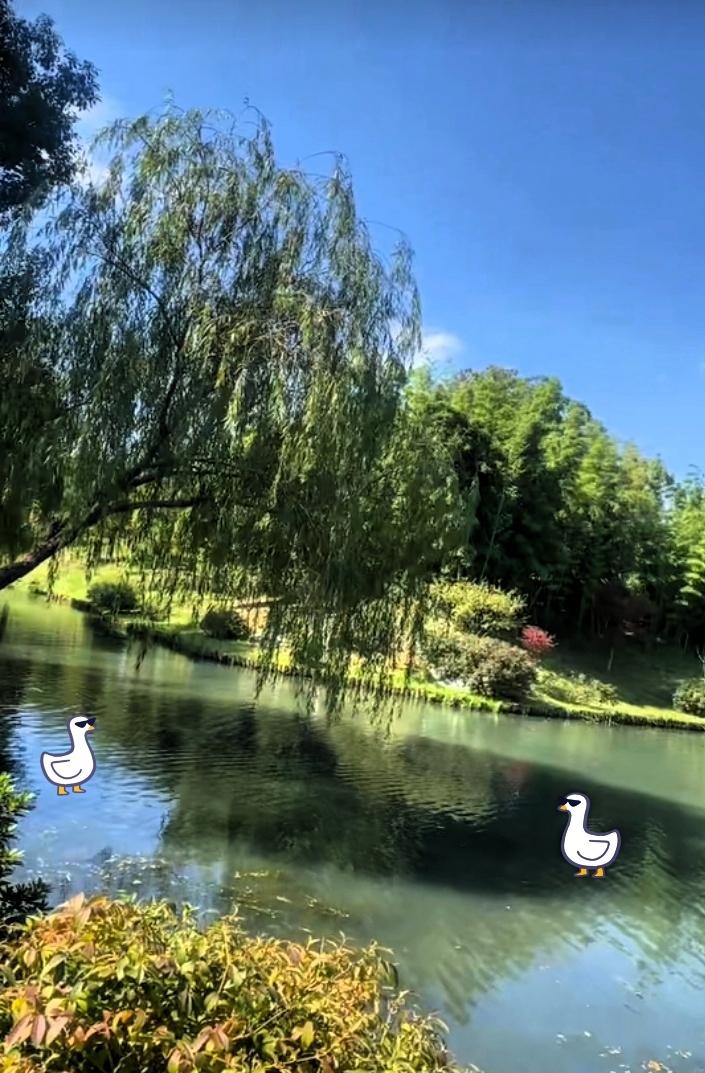 人这一辈子，到底该不该慢慢来过？现在好多人都在拼命赶路，忙着挣钱、攀比，生怕落在